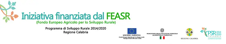 Banner psr